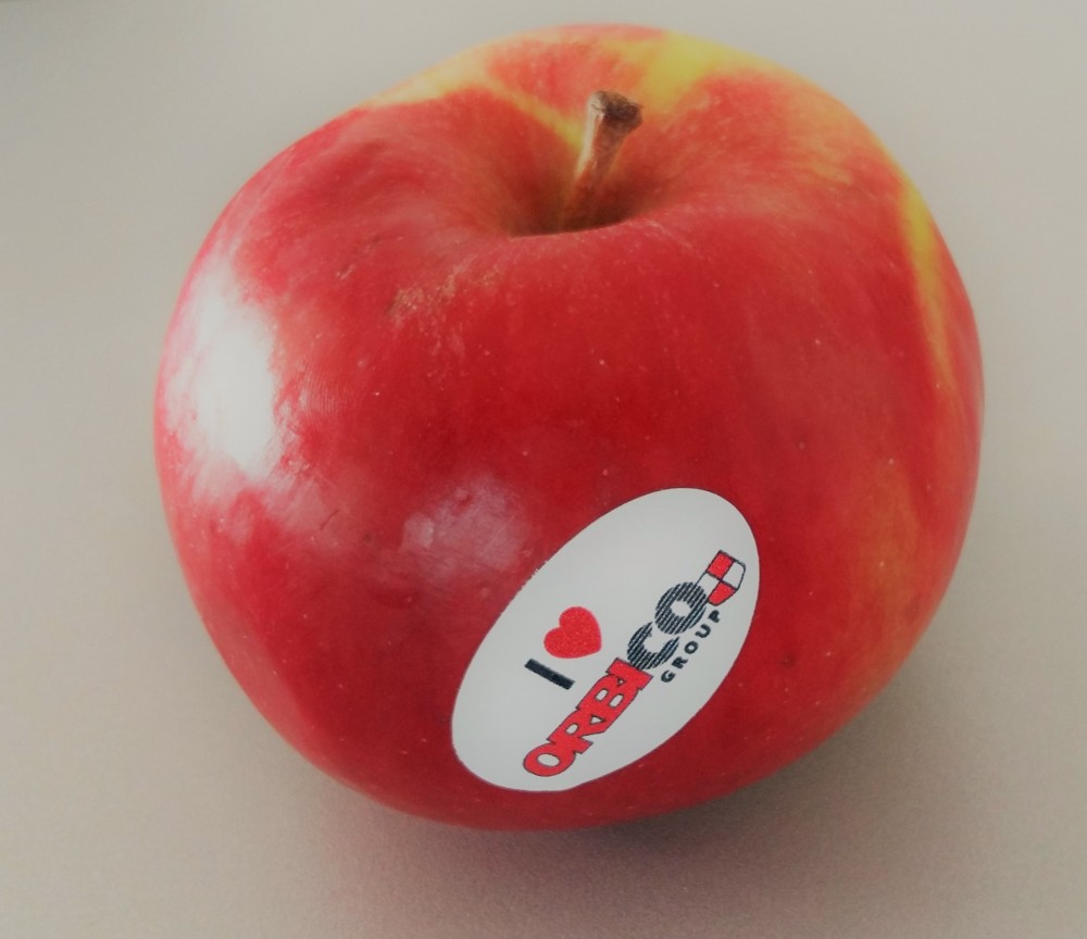 30 godina kompanije Orbico