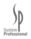 System Professional